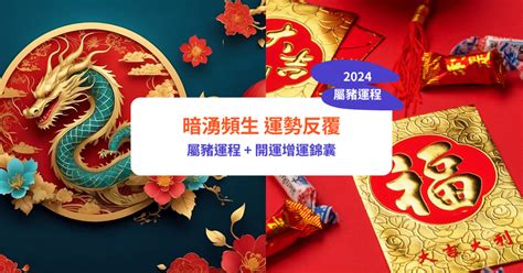 屬豬佩戴飾物|屬豬2024運勢丨屬豬增運顏色、開運飾物、犯太歲化解、年份